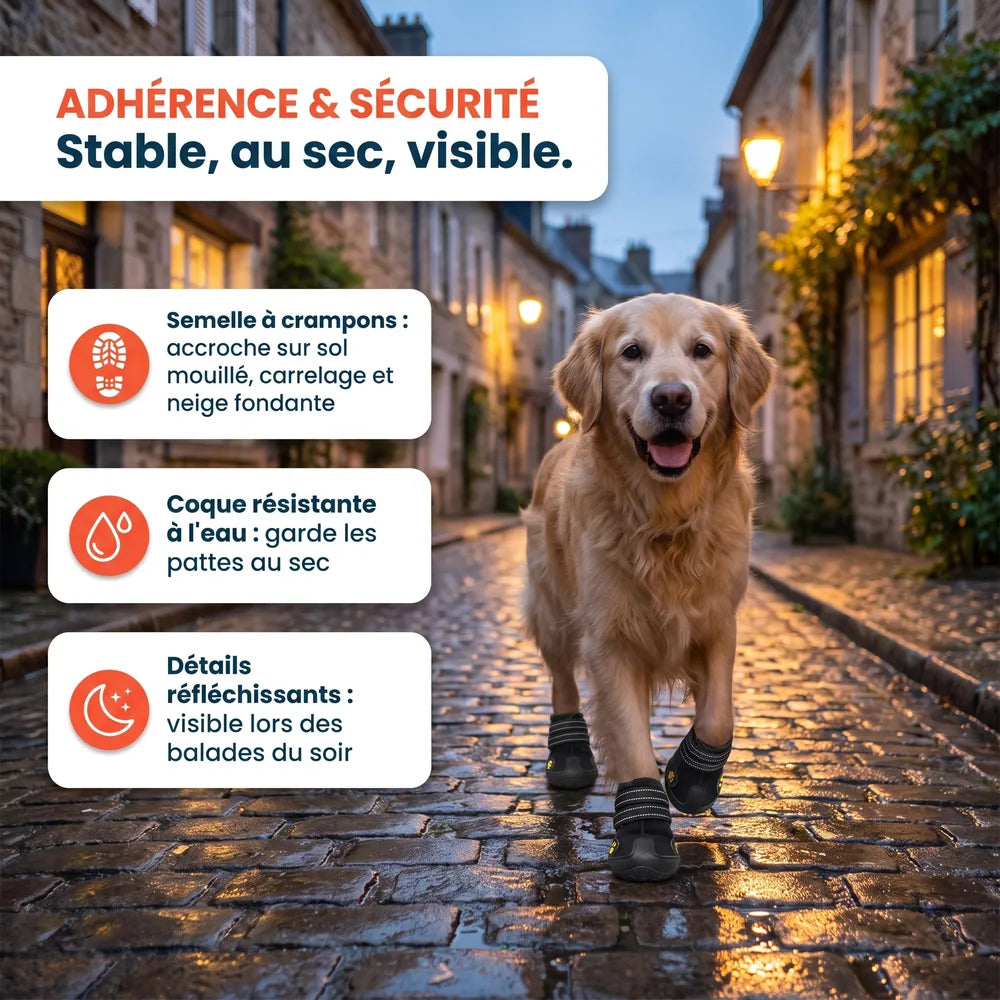 Chaussures de protection pour chien
