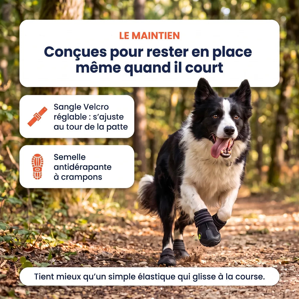 Chaussures de protection pour chien