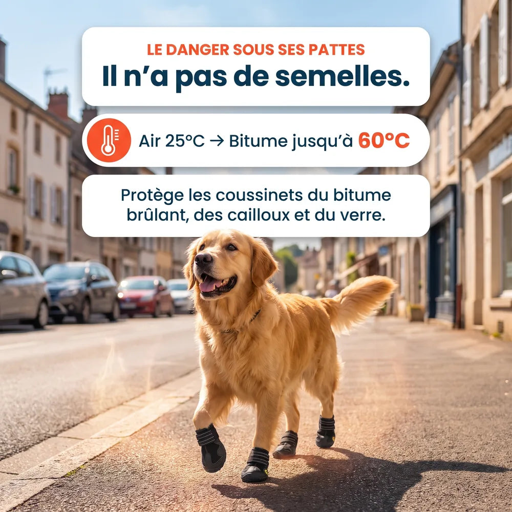 Chaussures de protection pour chien