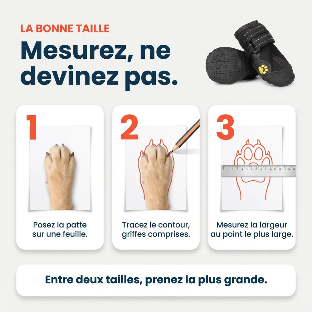 Chaussures de protection pour chien