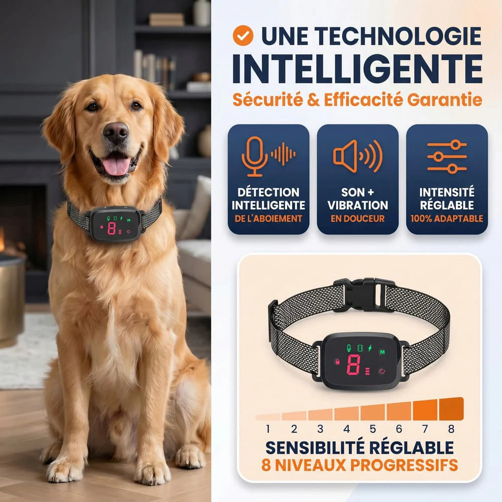 Collier anti-aboiement éducatif nouvelle génération