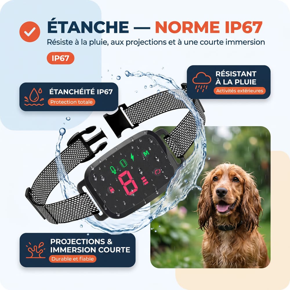 Collier anti-aboiement éducatif nouvelle génération