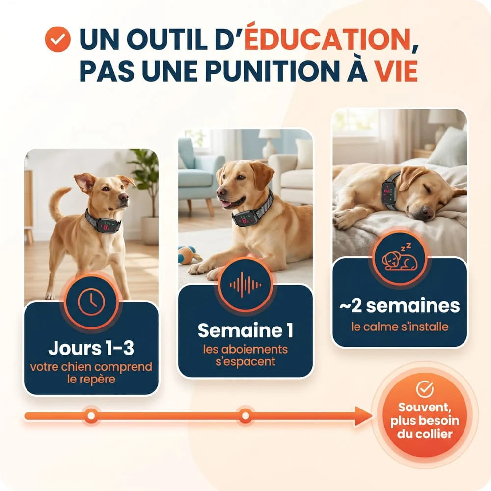 Collier anti-aboiement éducatif nouvelle génération