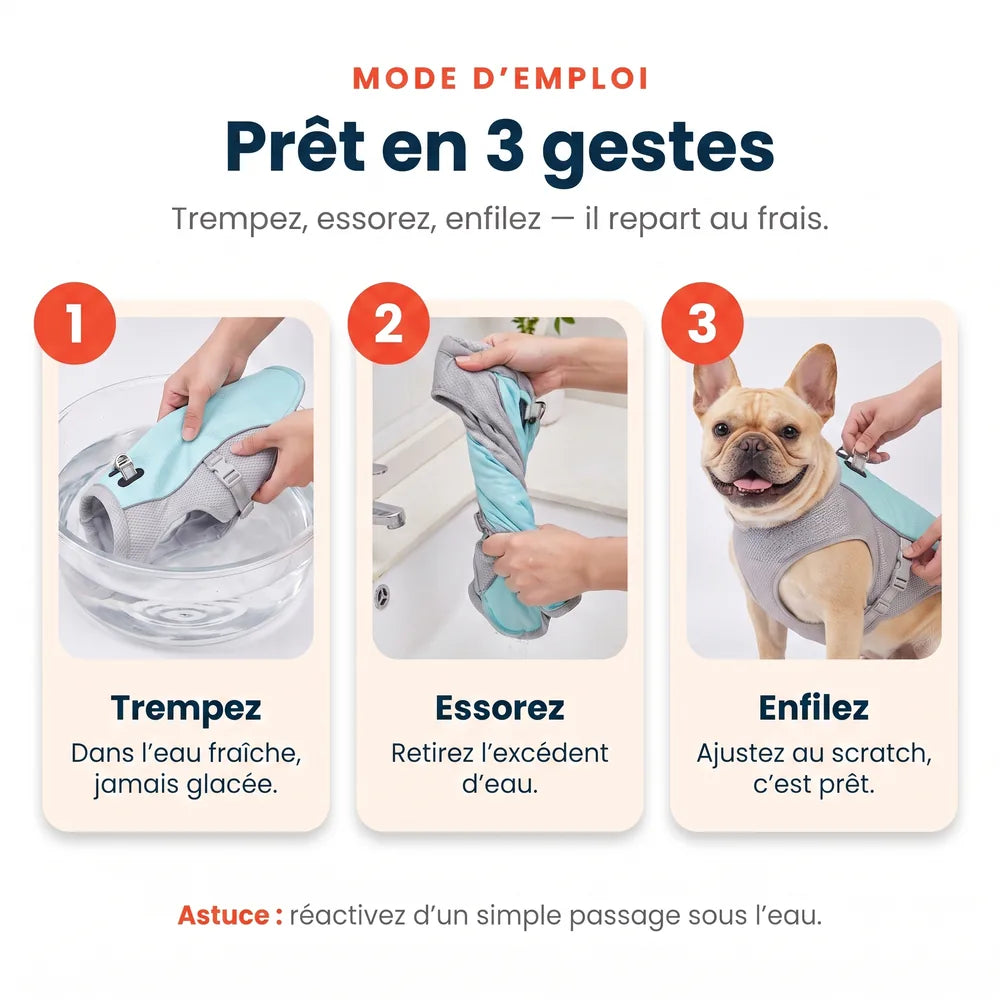 Gilet rafraîchissant pour chien sans gel
