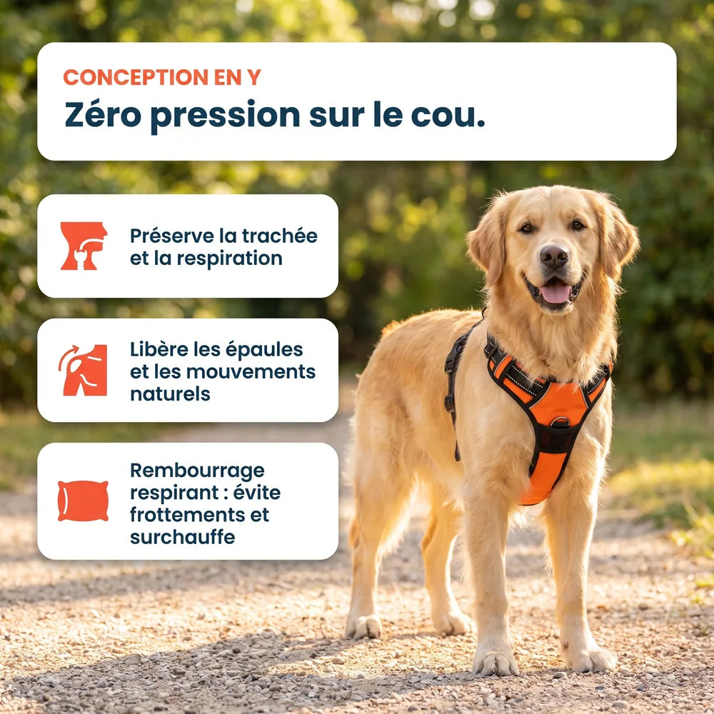 Harnais chien anti-traction compatible avec voiture