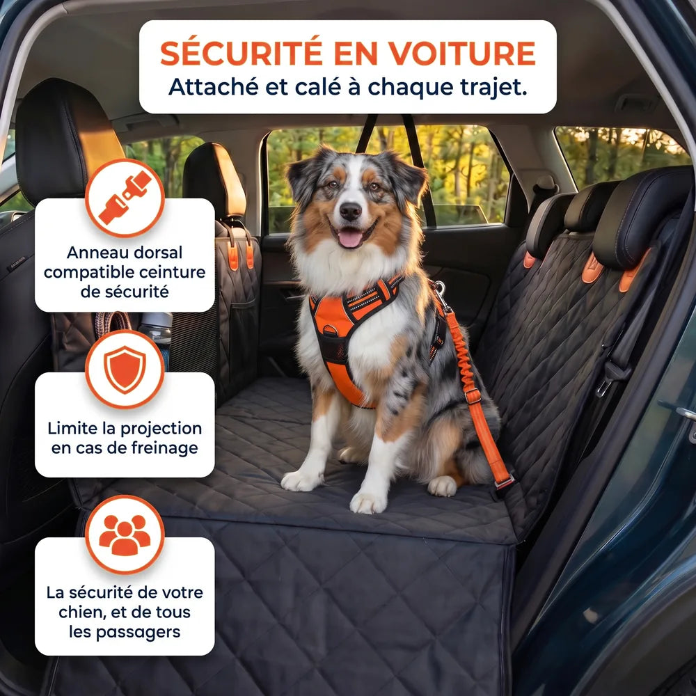Harnais chien anti-traction compatible avec voiture