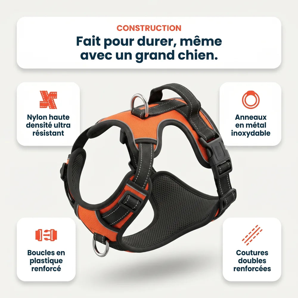 Harnais chien anti-traction compatible avec voiture