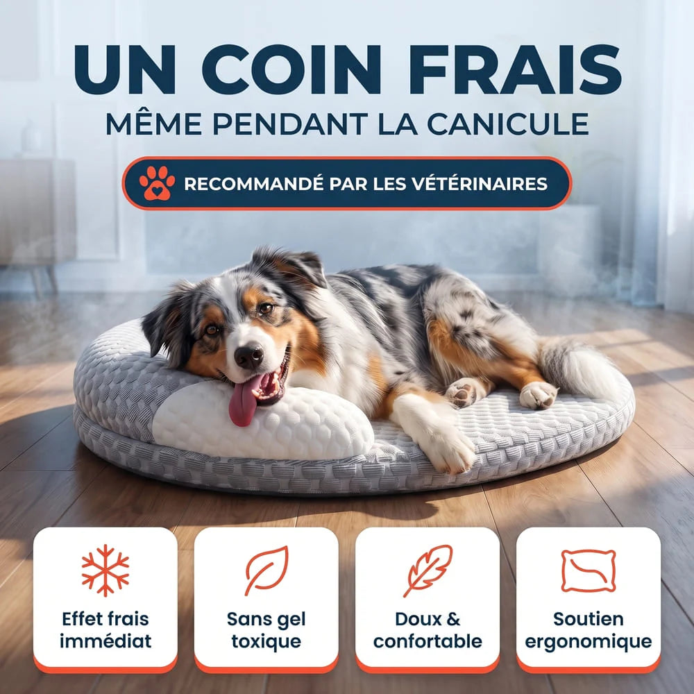 Matelas rafraîchissant pour chien sans gel