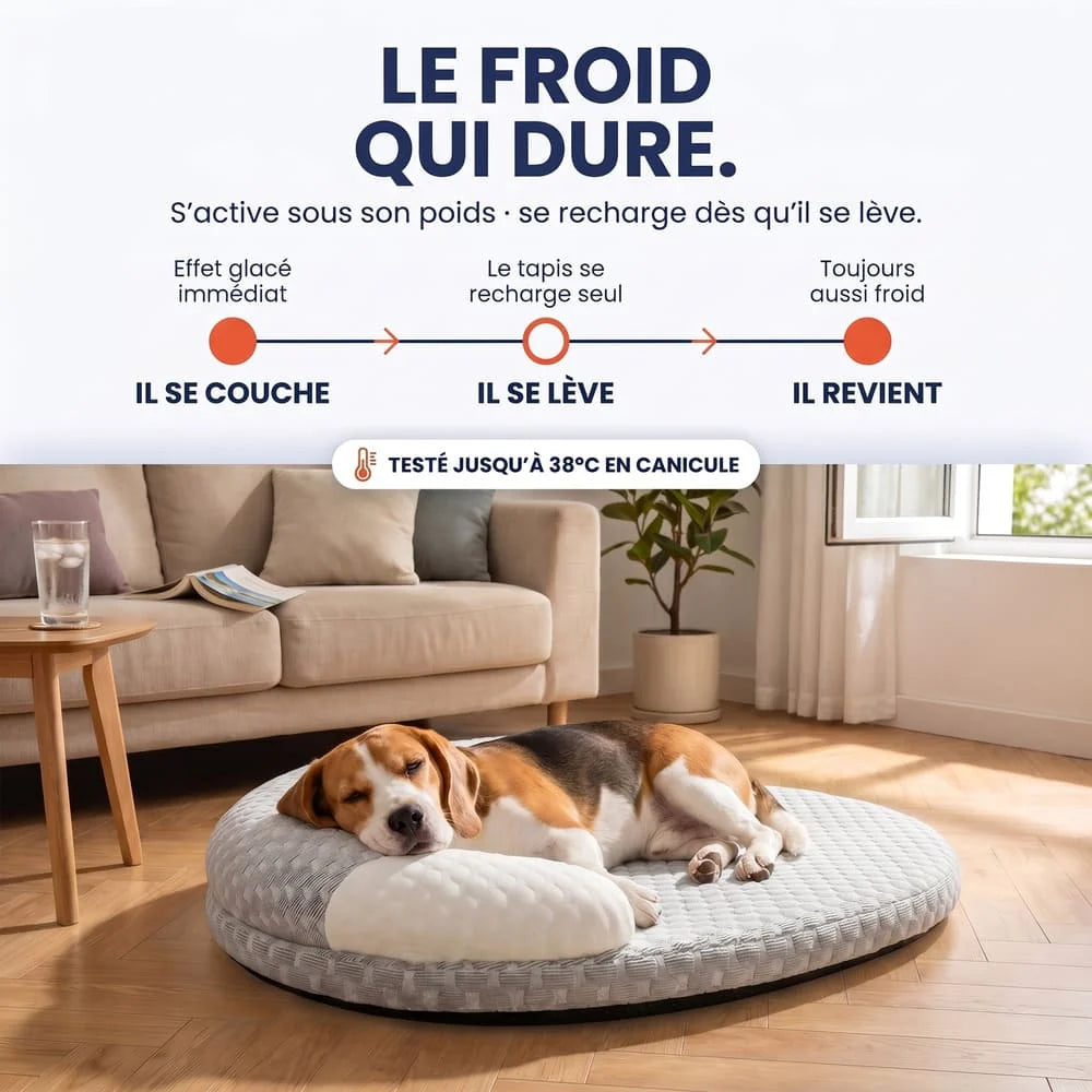 Matelas rafraîchissant pour chien sans gel