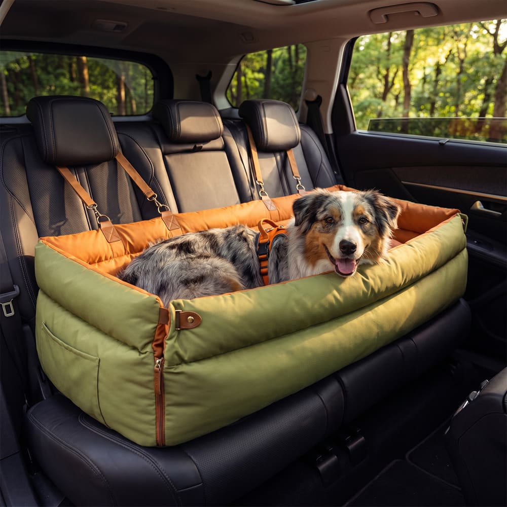 Siège auto pour grand chien