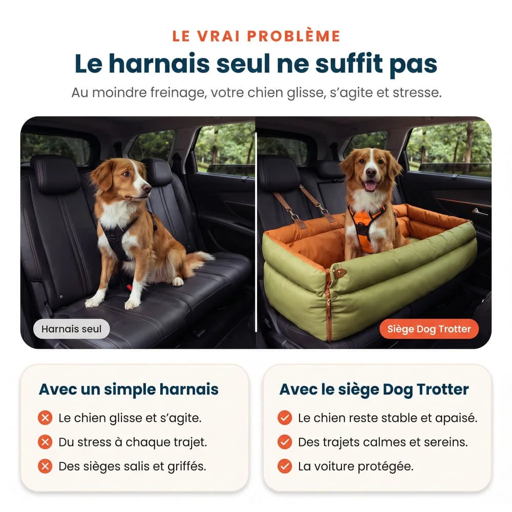 Siège auto pour grand chien