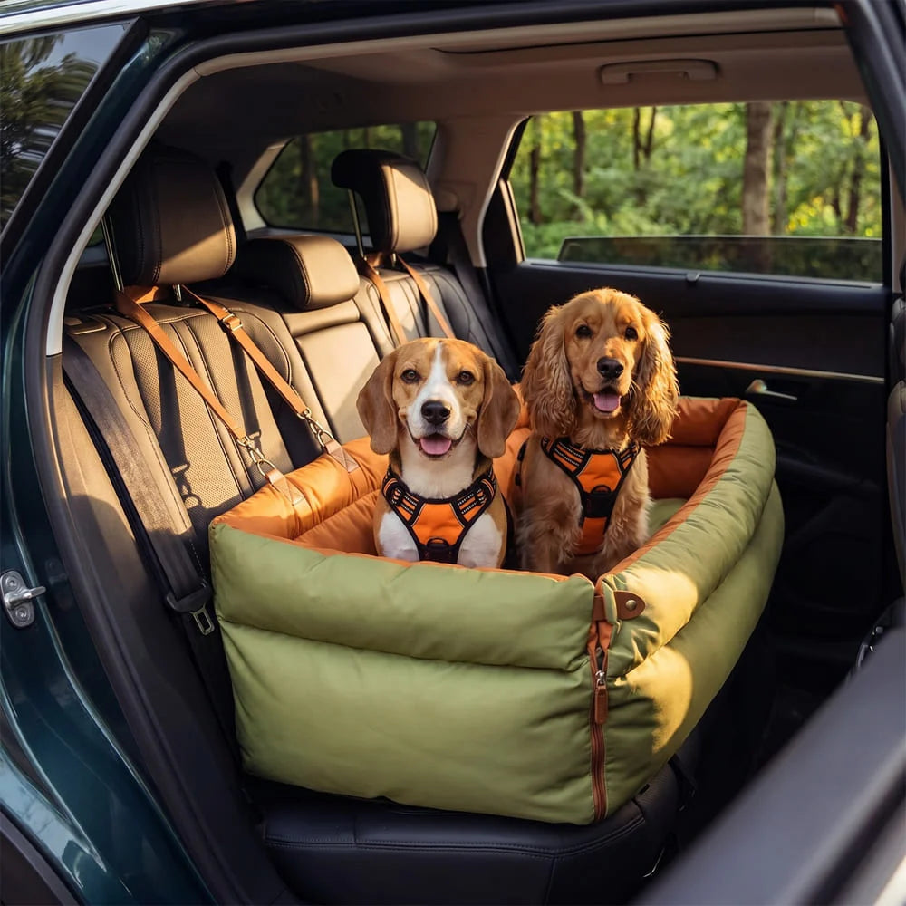 Siège auto pour grand chien