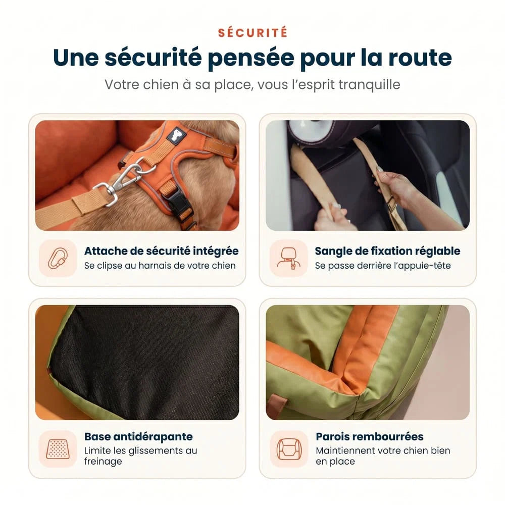 Siège auto pour grand chien