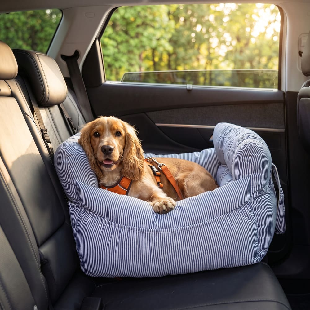Siège voiture petit chien rayé