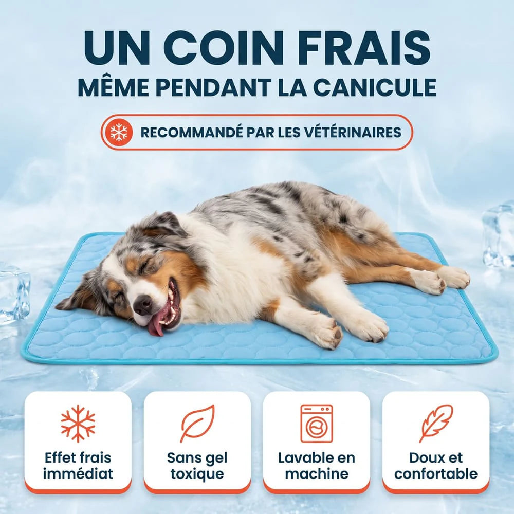 Tapis rafraîchissant pour chien sans gel