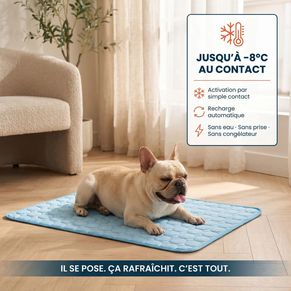 Tapis rafraîchissant pour chien sans gel