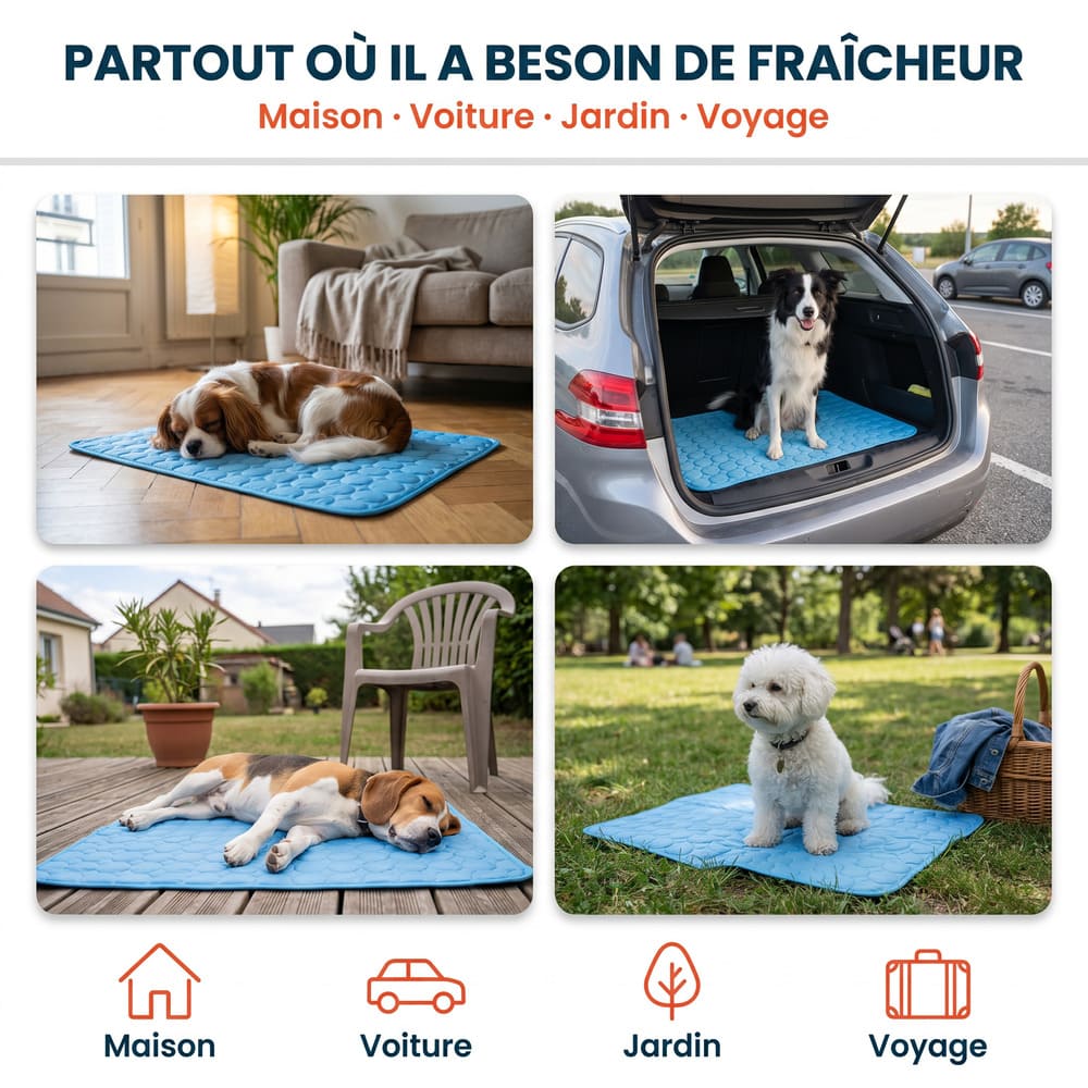 Tapis rafraîchissant pour chien sans gel